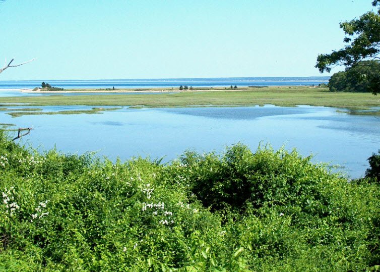 Ellisville Harbor State Park, Massachusetts, USA